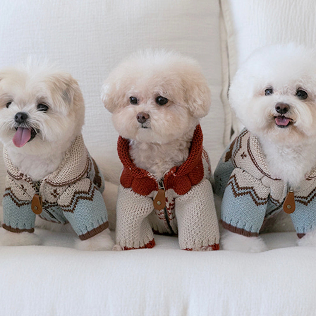 ※予約販売【ssfw】Maple Cowichan（2colors）