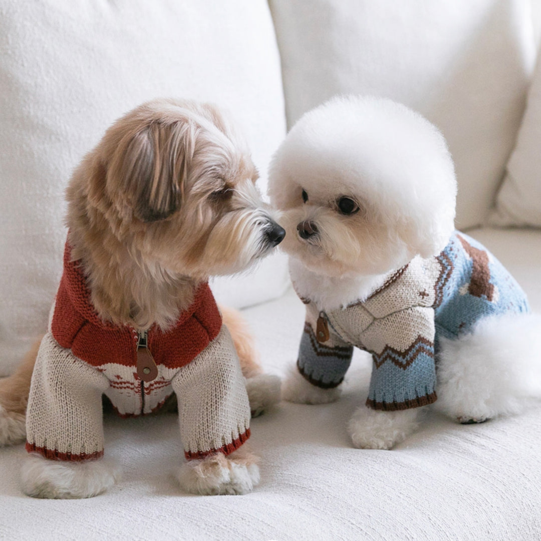 ※予約販売【ssfw】Maple Cowichan（2colors）