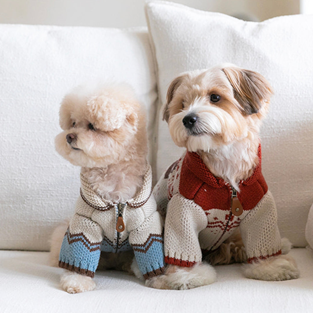 ※予約販売【ssfw】Maple Cowichan（2colors）