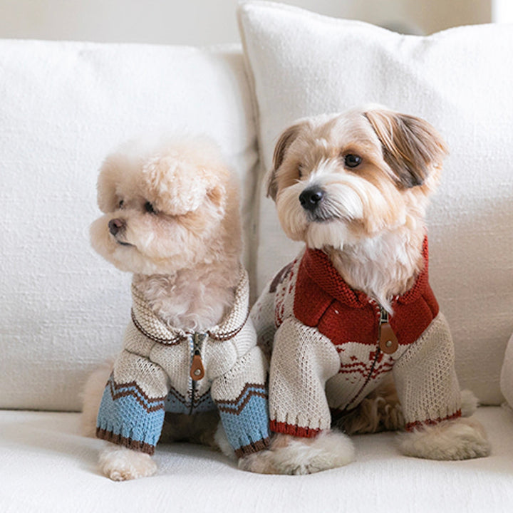 ※予約販売【ssfw】Maple Cowichan（2colors）