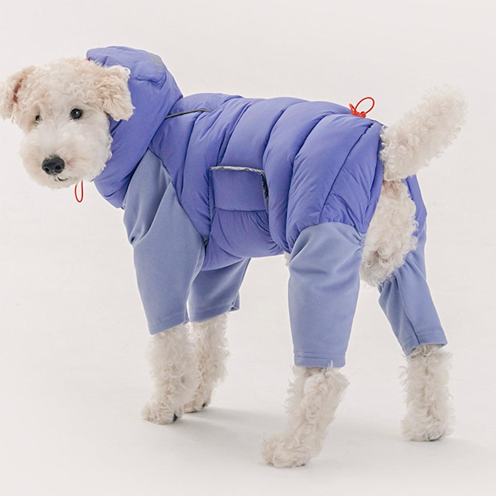 海外犬服 高品質なインポートのドッグウェア通販 