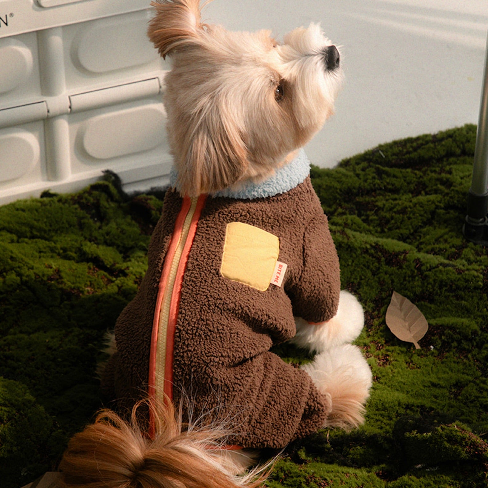 海外犬服 高品質なインポートのドッグウェア通販 