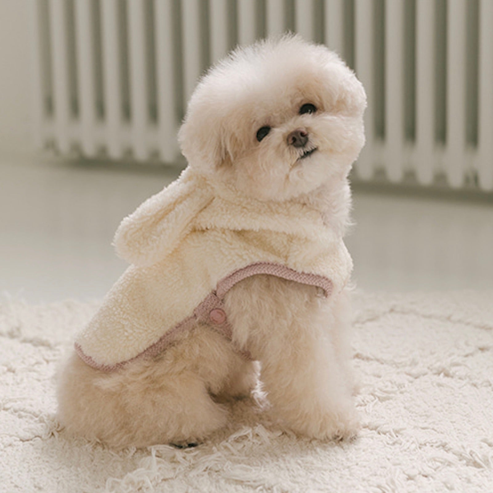 海外犬服 高品質なインポートのドッグウェア通販 