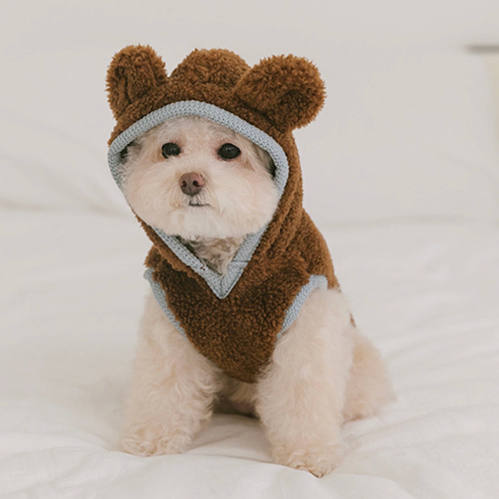 海外犬服 高品質なインポートのドッグウェア通販 