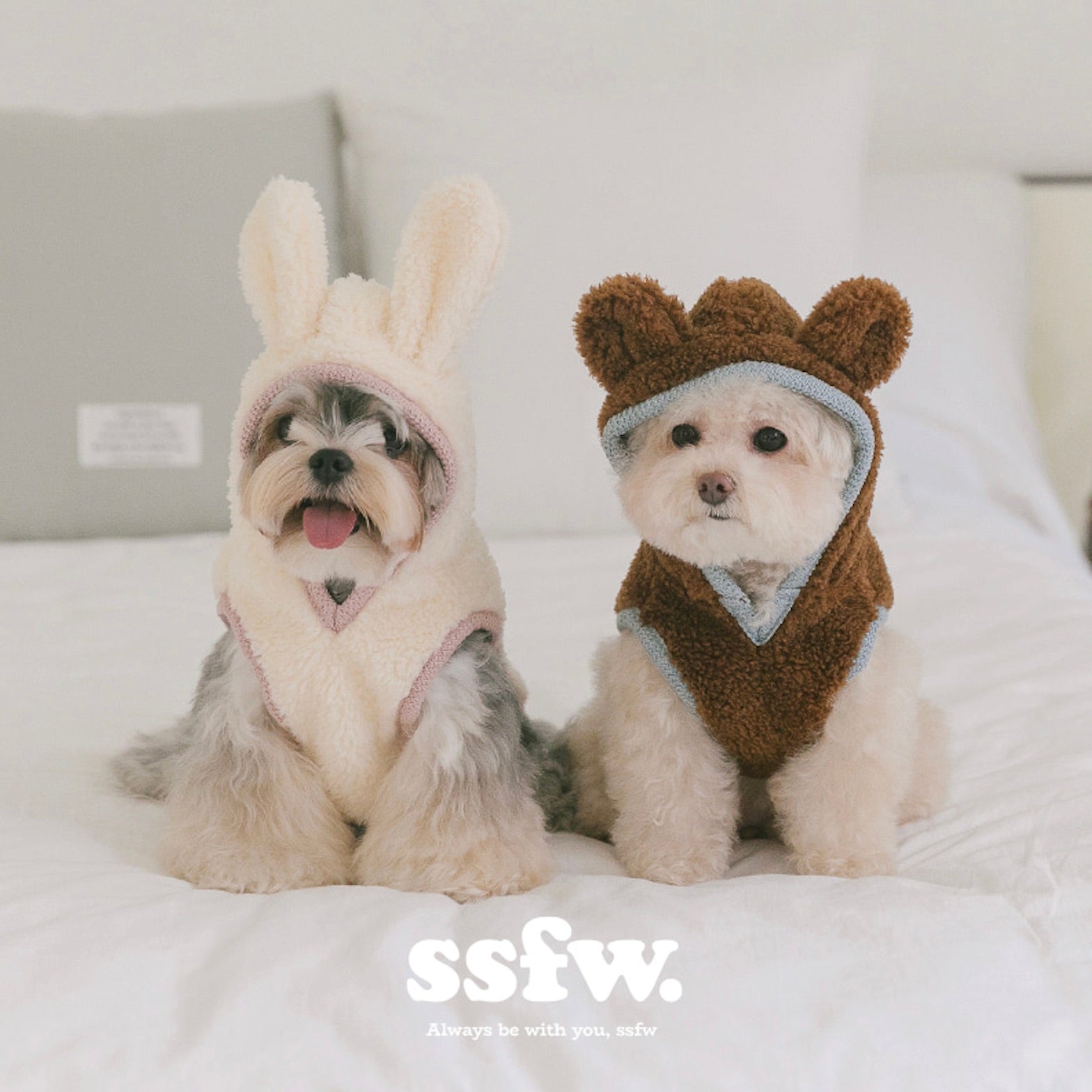 海外犬服 高品質なインポートのドッグウェア通販 