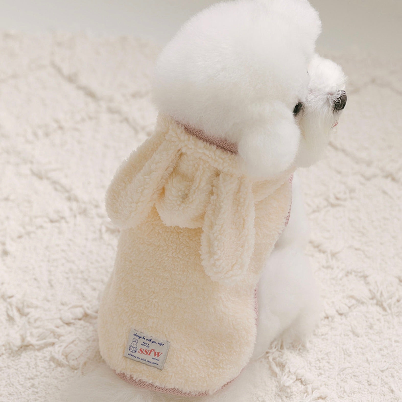 海外犬服 高品質なインポートのドッグウェア通販 