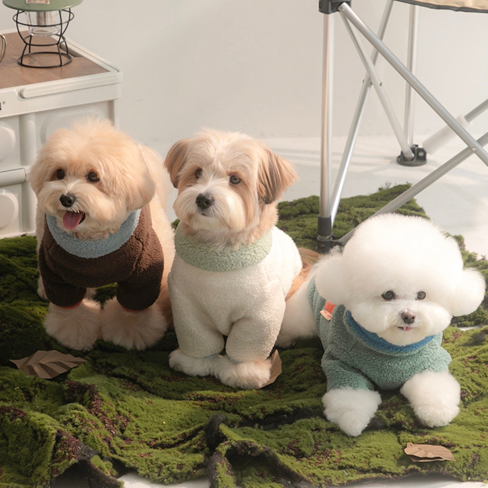 リンクコーデ(わんちゃん用) – URBAN DOG TOKYO