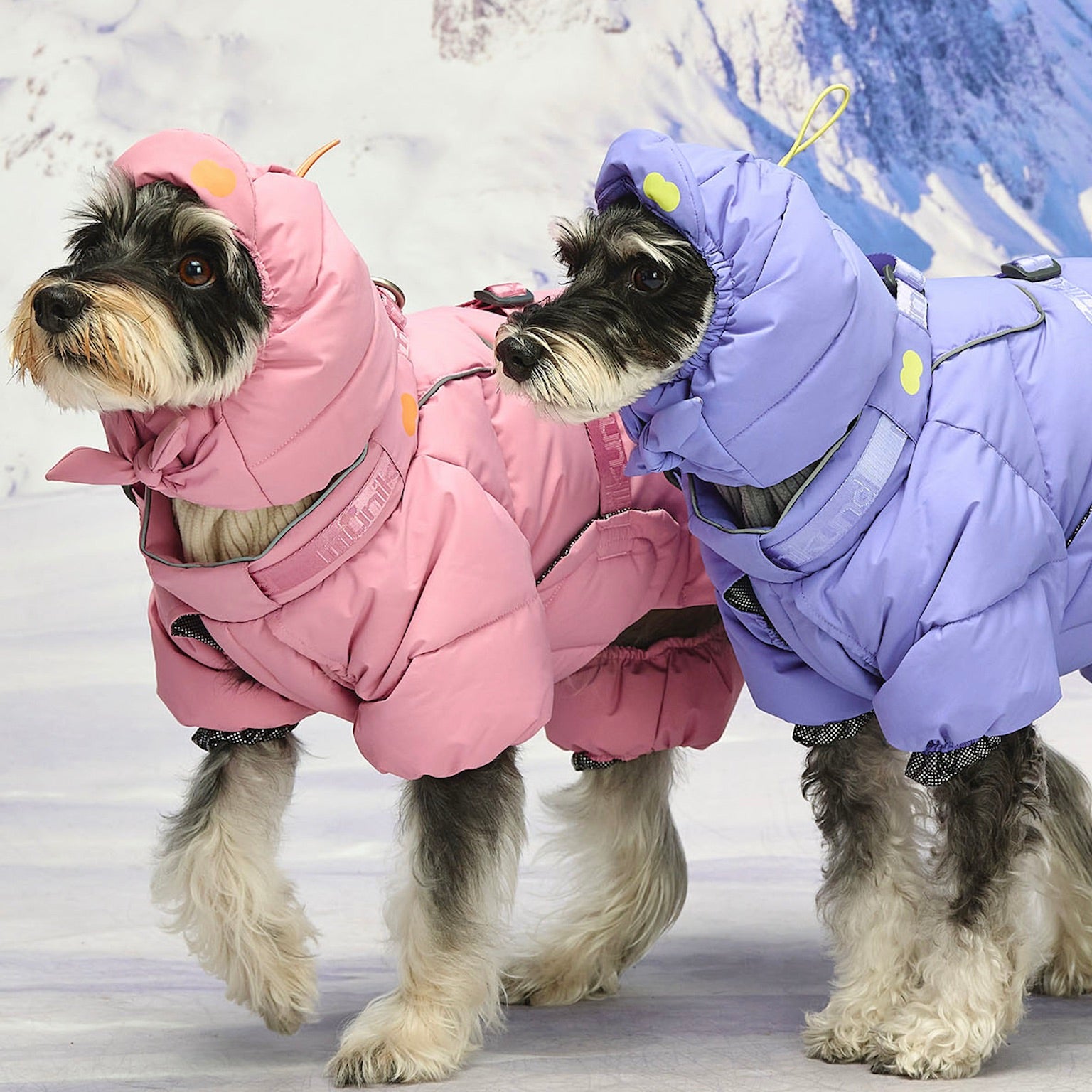 海外犬服高品質なインポートのドッグウェア通販 