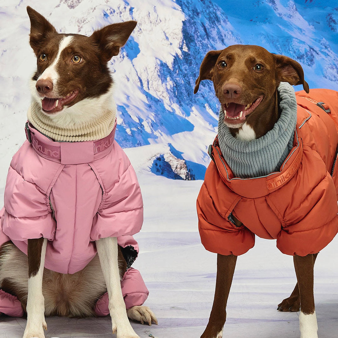 ※予約販売【munikund】Thermal Up Padding Air 2 Overall -（Clay Brick）