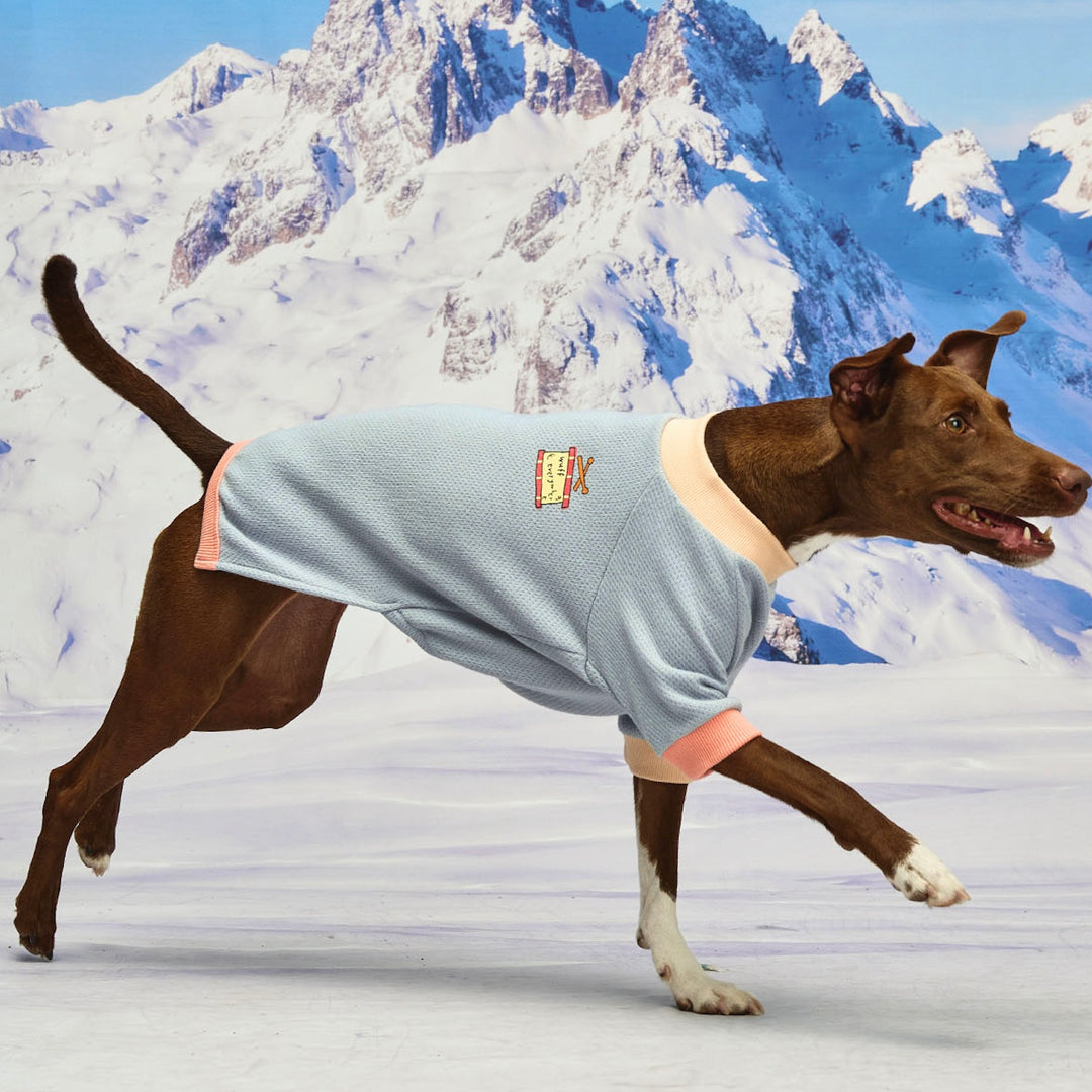 ※予約販売【munikund】Wuff Pullover（Blue）