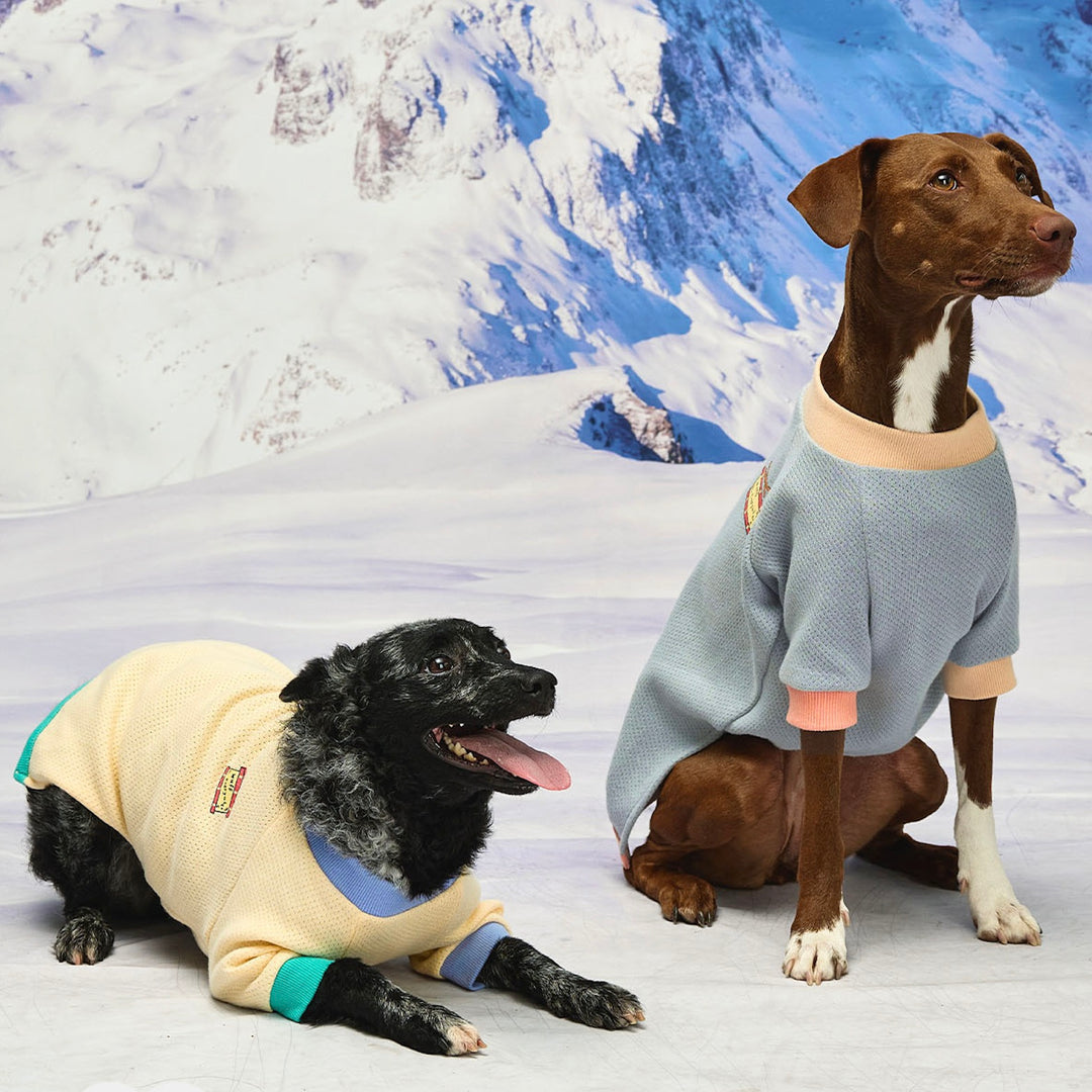 ※予約販売【munikund】Wuff Pullover（Yellow）