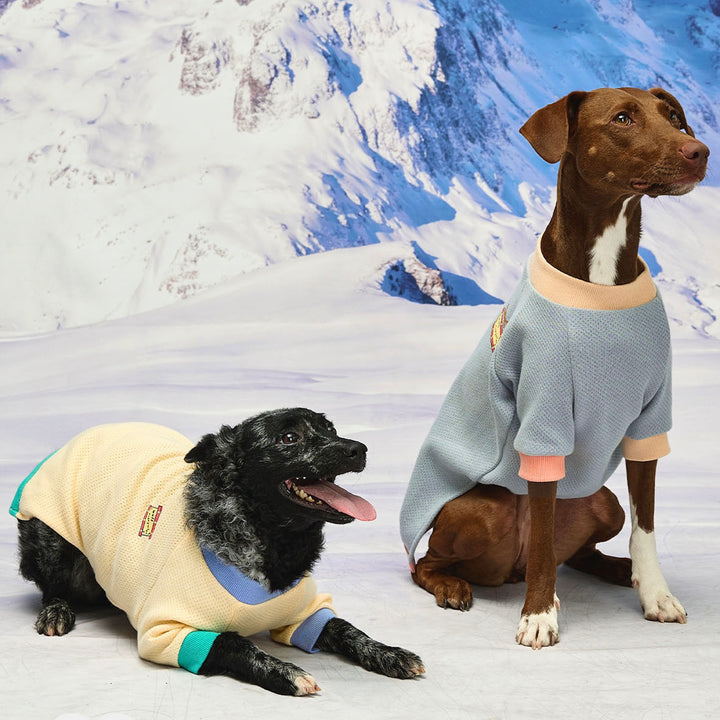 ※予約販売【munikund】Wuff Pullover（Yellow）