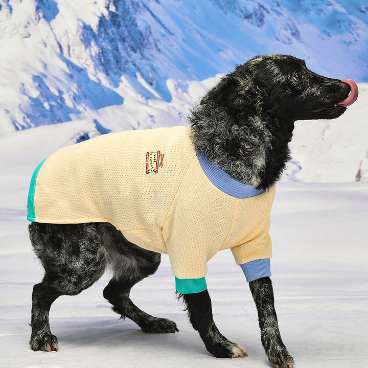 ※予約販売【munikund】Wuff Pullover（Yellow）