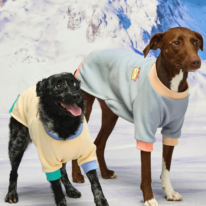 ※予約販売【munikund】Wuff Pullover（Blue）