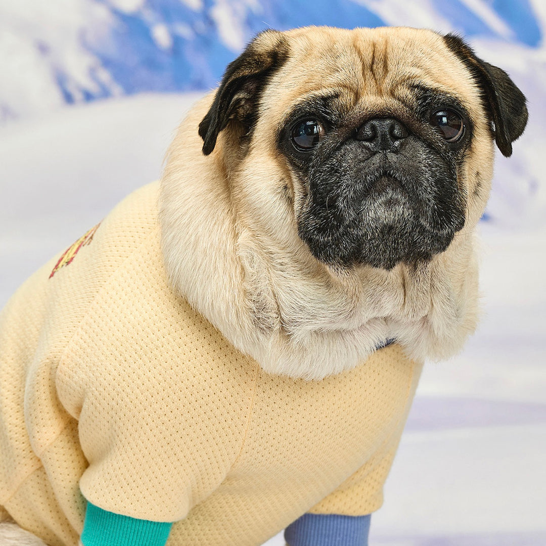 ※予約販売【munikund】Wuff Pullover（Yellow）