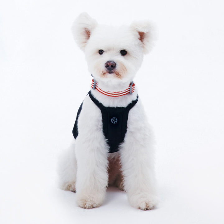 ※予約販売【ARUMARU】HELLO KITTY × ARUMARU Pet Logo Crop Top（Black）