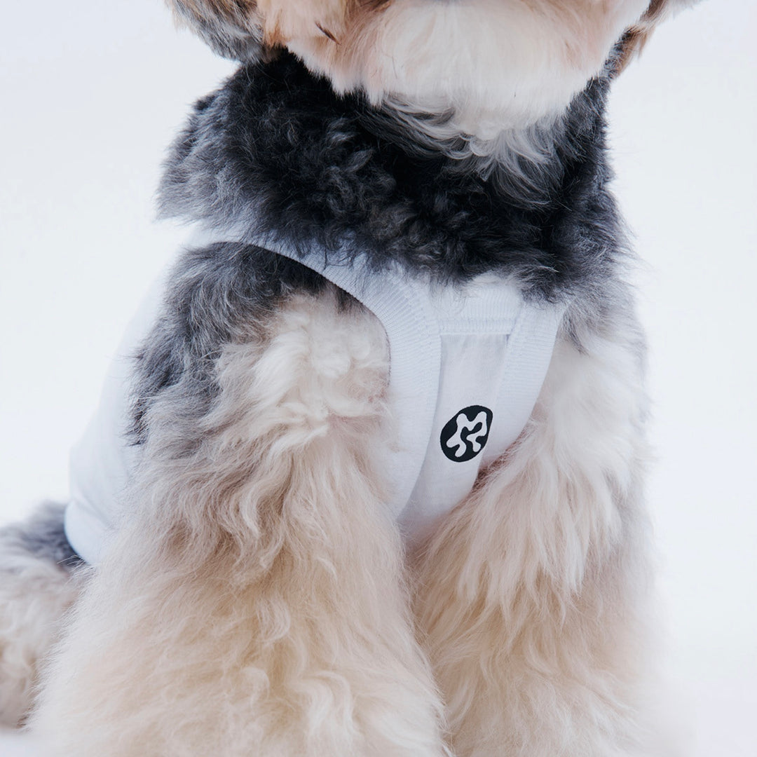 ※予約販売【ARUMARU】HELLO KITTY × ARUMARU Pet Logo Crop Top（White）