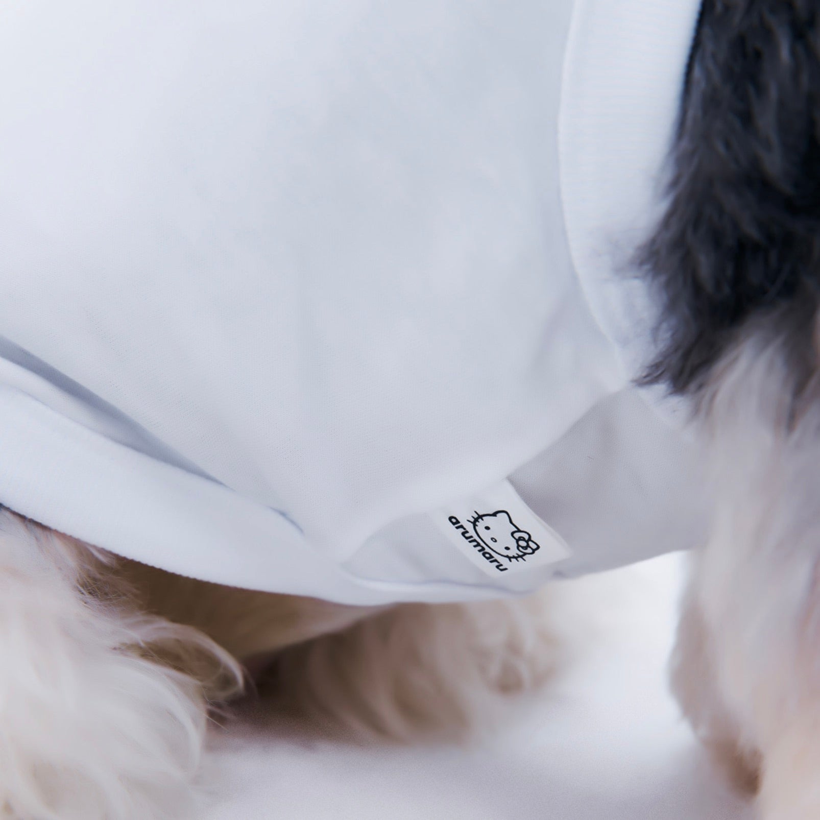 海外犬服 高品質なインポートのドッグウェア通販 