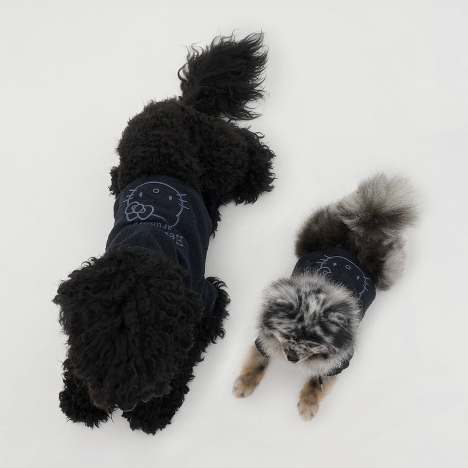 海外犬服 高品質なインポートのドッグウェア通販 