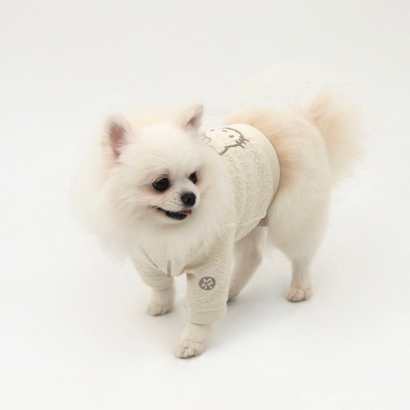 海外犬服 高品質なインポートのドッグウェア通販 