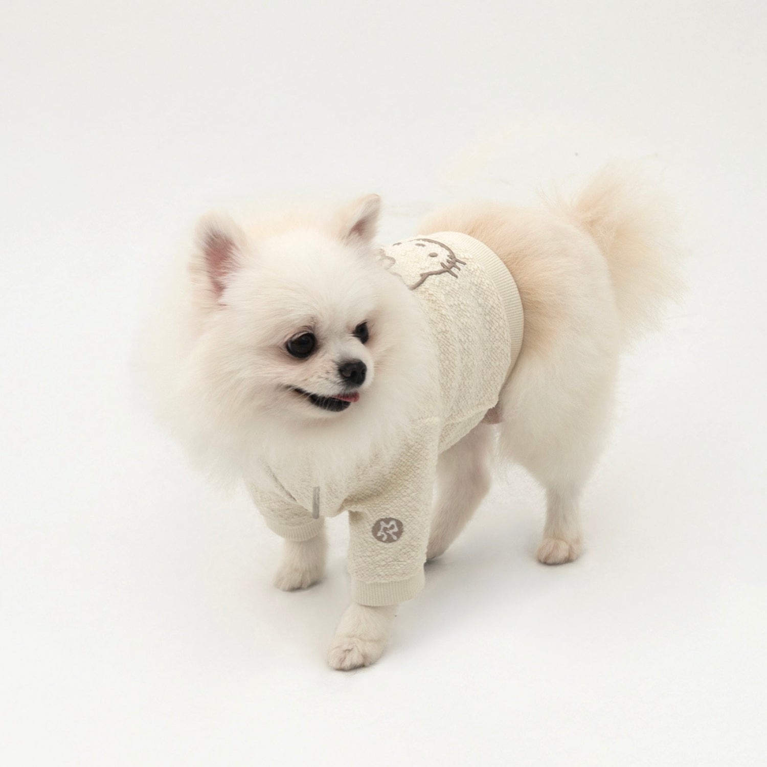 即納【ARUMARU】HELLO KITTY × ARUMARU Pet cropped hoodie zip jacket（Ivory）