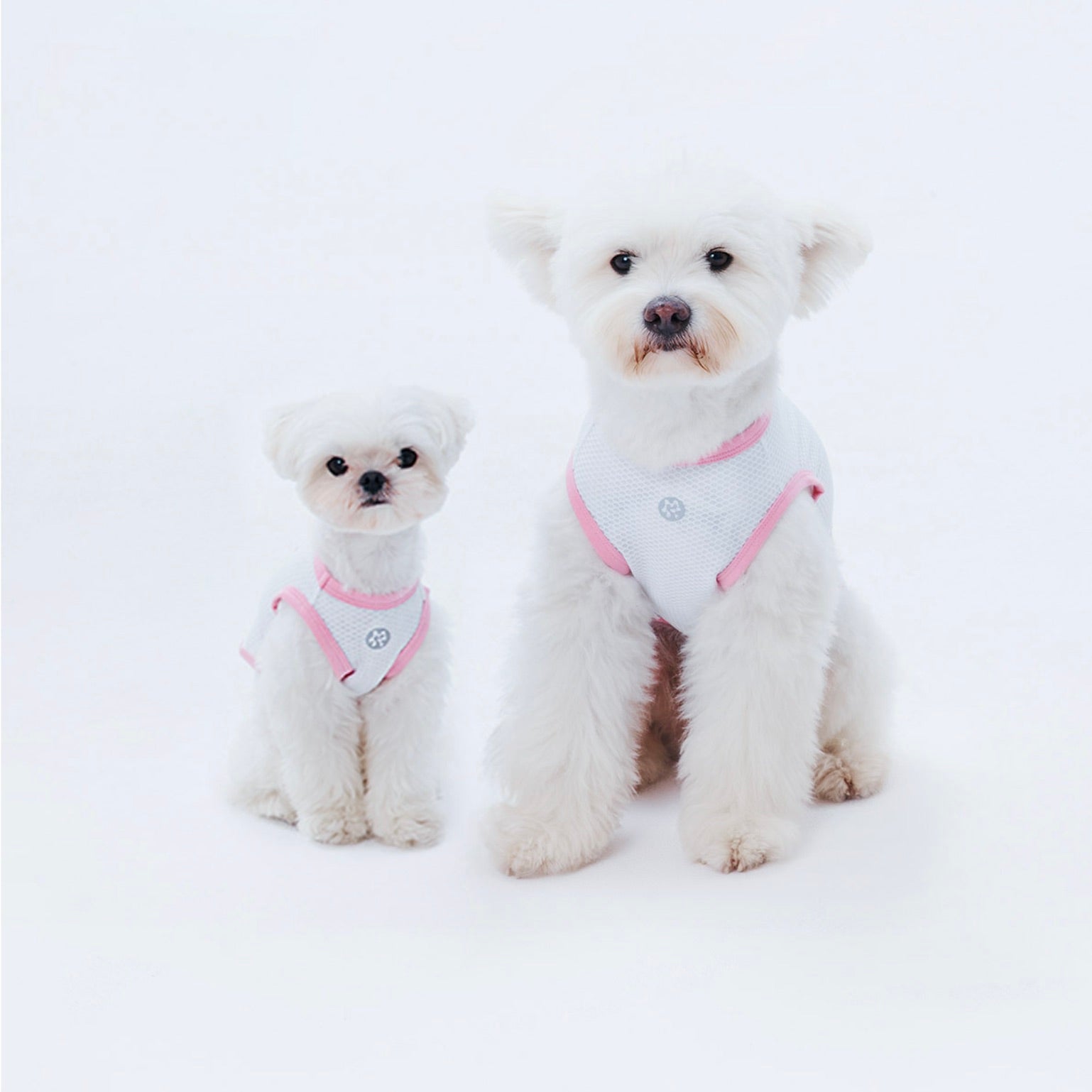 海外犬服 高品質なインポートのドッグウェア通販 