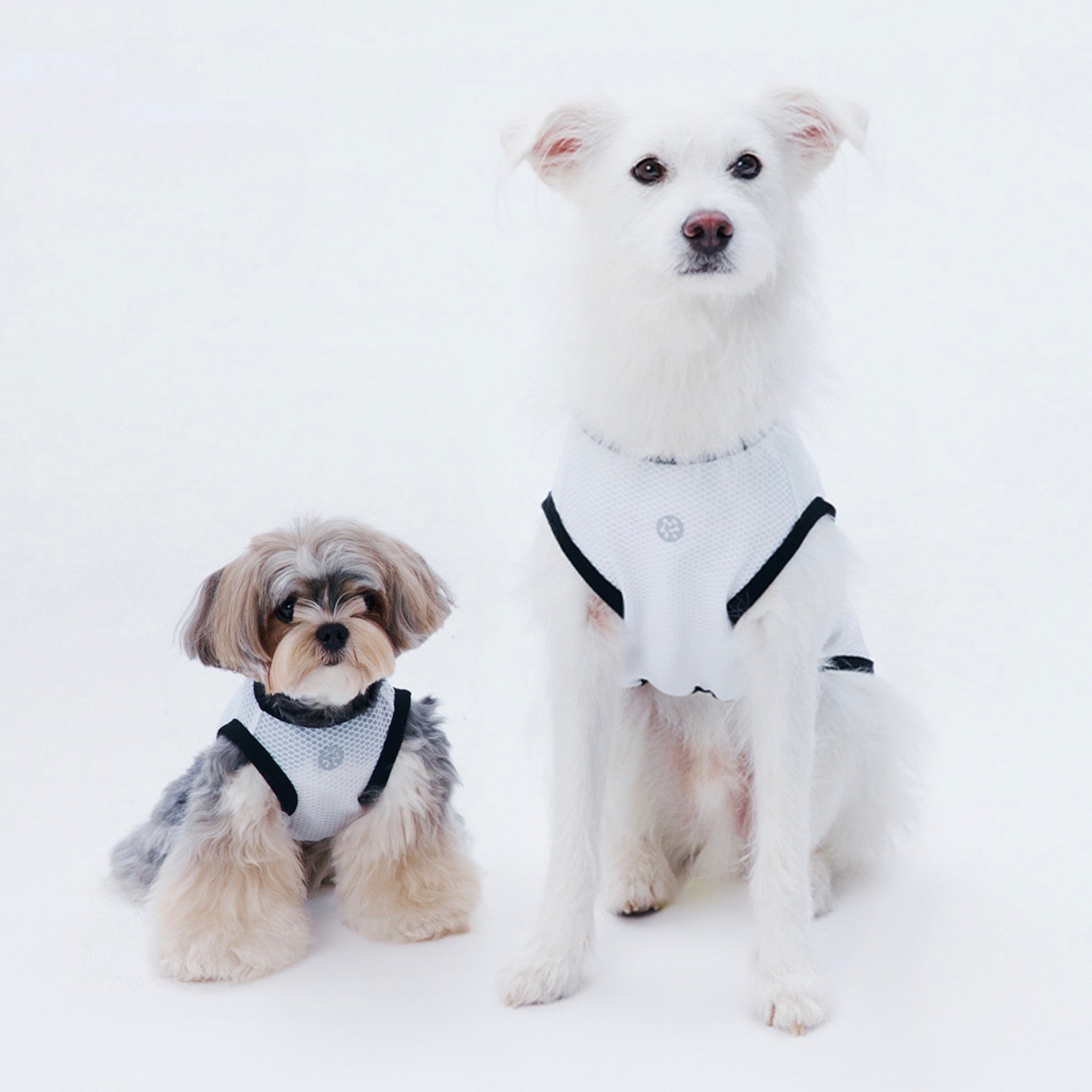 ペット犬用　大人レディース Hello Kitty arumaru Tシャツ 海外犬服 高品質なインポートのドッグウェア通販 
