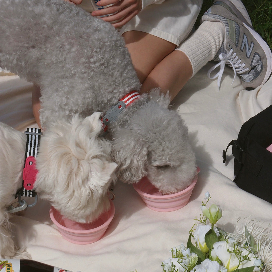 ※予約販売【ARUMARU】HELLO KITTY × ARUMARU Folding Bowl