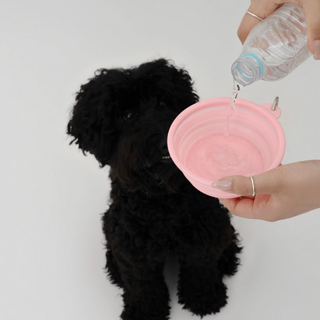 ※予約販売【ARUMARU】HELLO KITTY × ARUMARU Folding Bowl