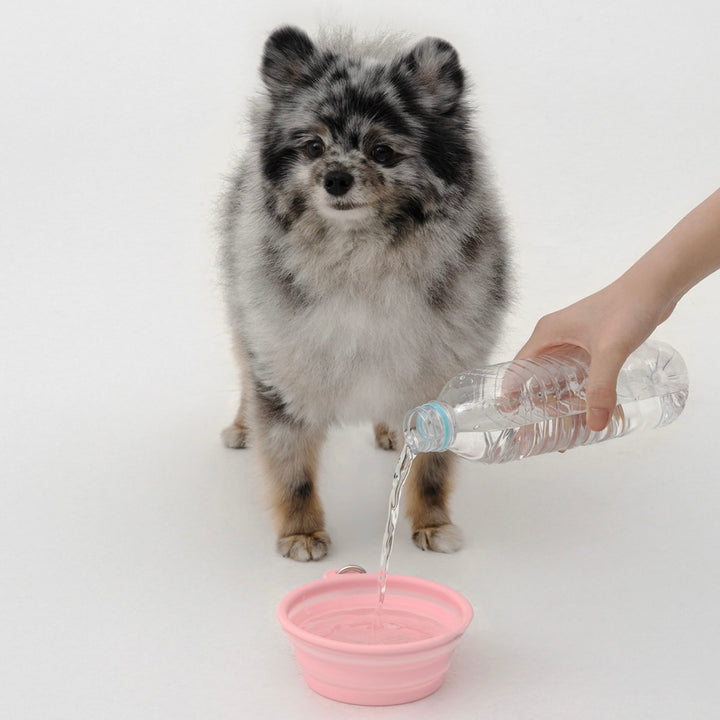 ※予約販売【ARUMARU】HELLO KITTY × ARUMARU Folding Bowl