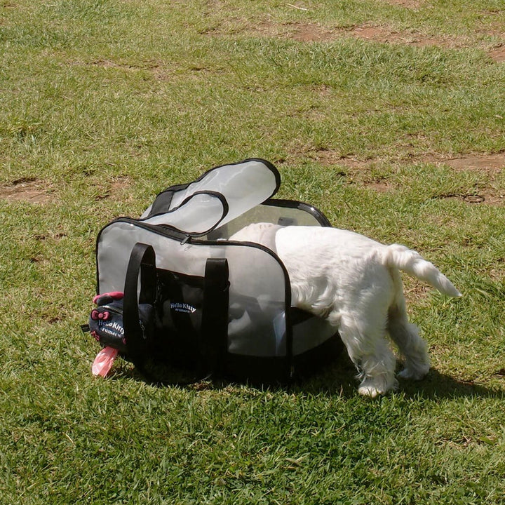 ※予約販売【ARUMARU】HELLO KITTY × ARUMARU Poop bag key ring（Black）