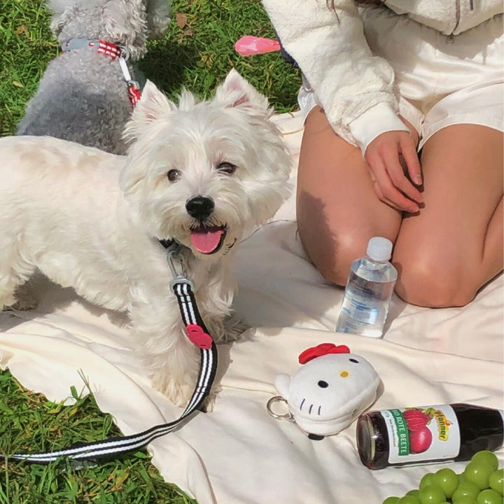 ※予約販売【ARUMARU】HELLO KITTY × ARUMARU Poop bag key ring（White）