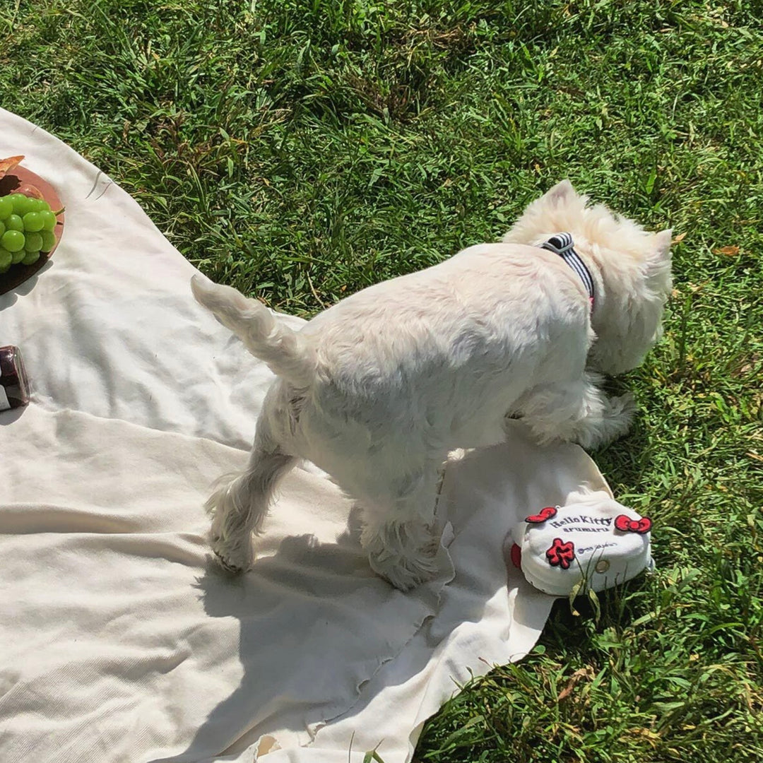 ※予約販売【ARUMARU】HELLO KITTY × ARUMARU Poop bag key ring（White）