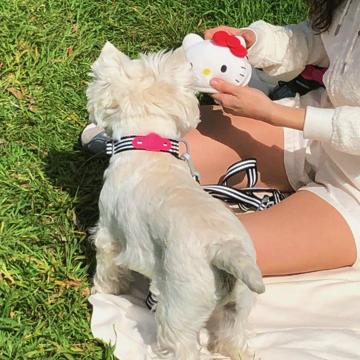 ※予約販売【ARUMARU】HELLO KITTY × ARUMARU Poop bag key ring（White）