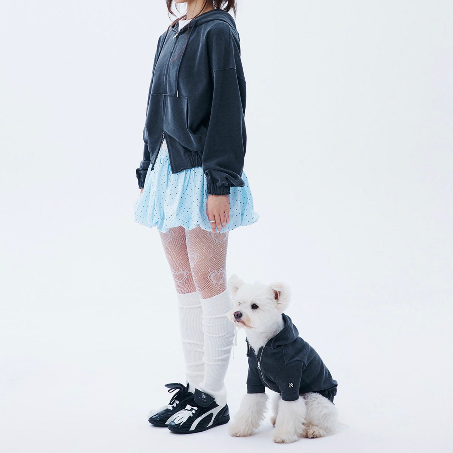 海外犬服 高品質なインポートのドッグウェア通販 