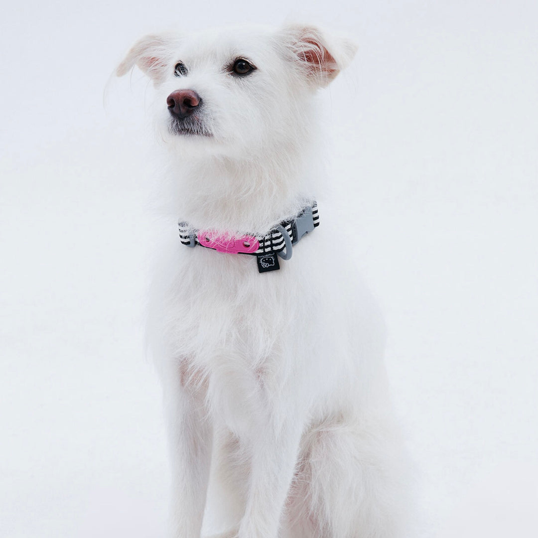 ※予約販売【ARUMARU】HELLO KITTY × ARUMARU Dog collar（Black）