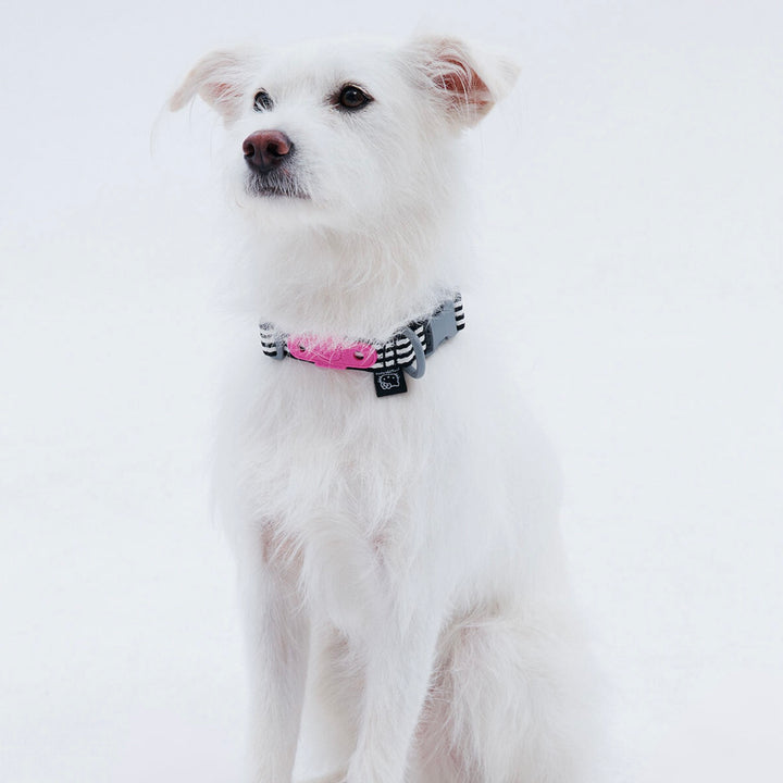 ※予約販売【ARUMARU】HELLO KITTY × ARUMARU Dog collar（Black）