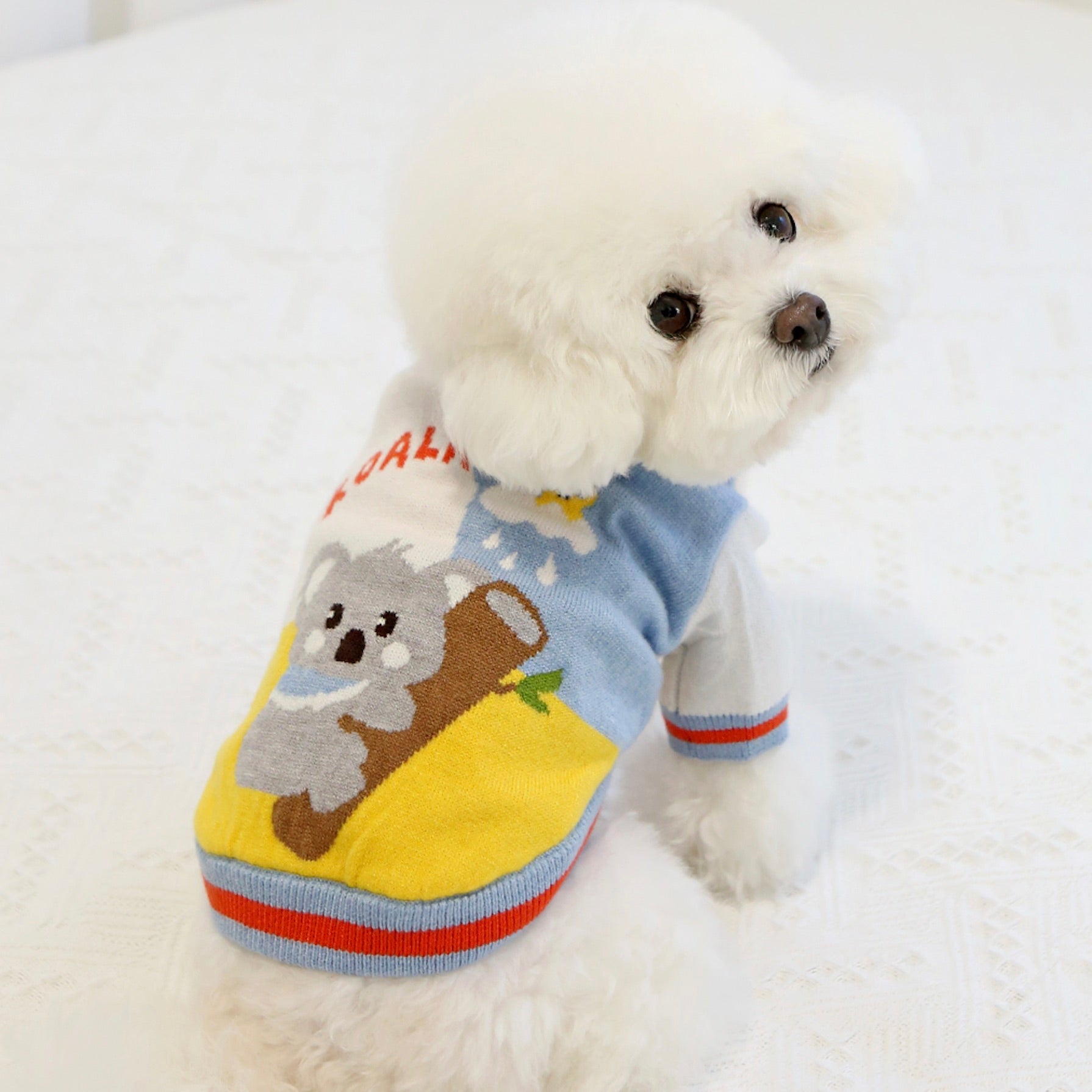 海外犬服 高品質なインポートのドッグウェア通販 