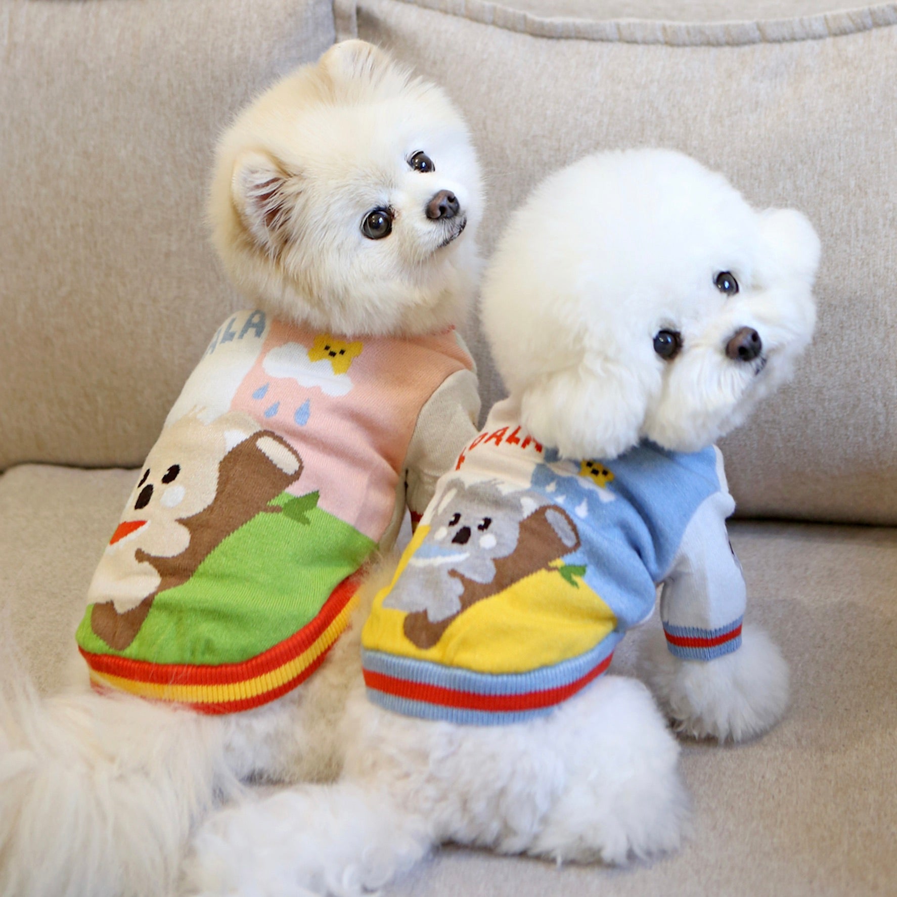 犬服・アクセサリー IT-DOGS Hand Knit 海外犬服 高品質なインポートのドッグウェア通販 