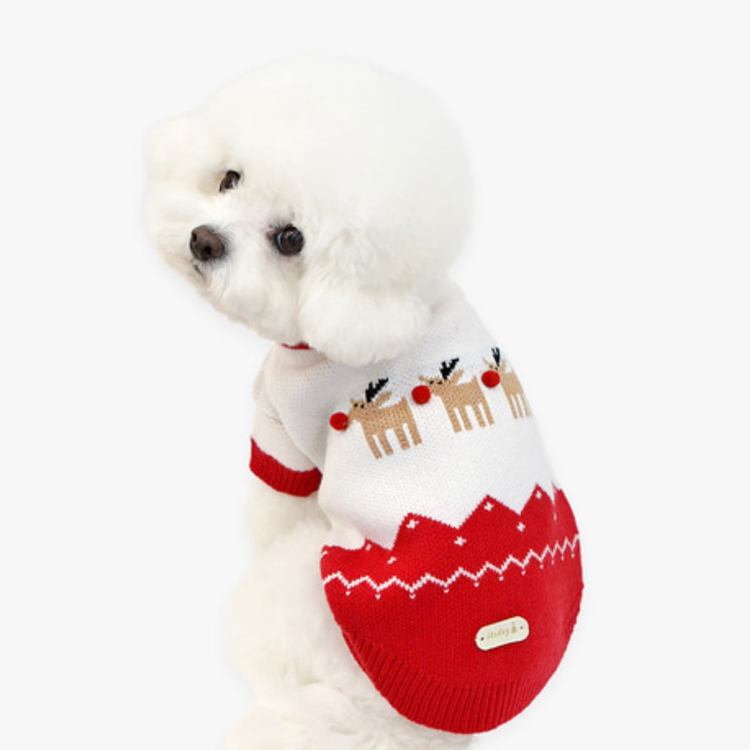 ※予約販売【ITS DOG】Red Coco Rudolph Knit（2color）