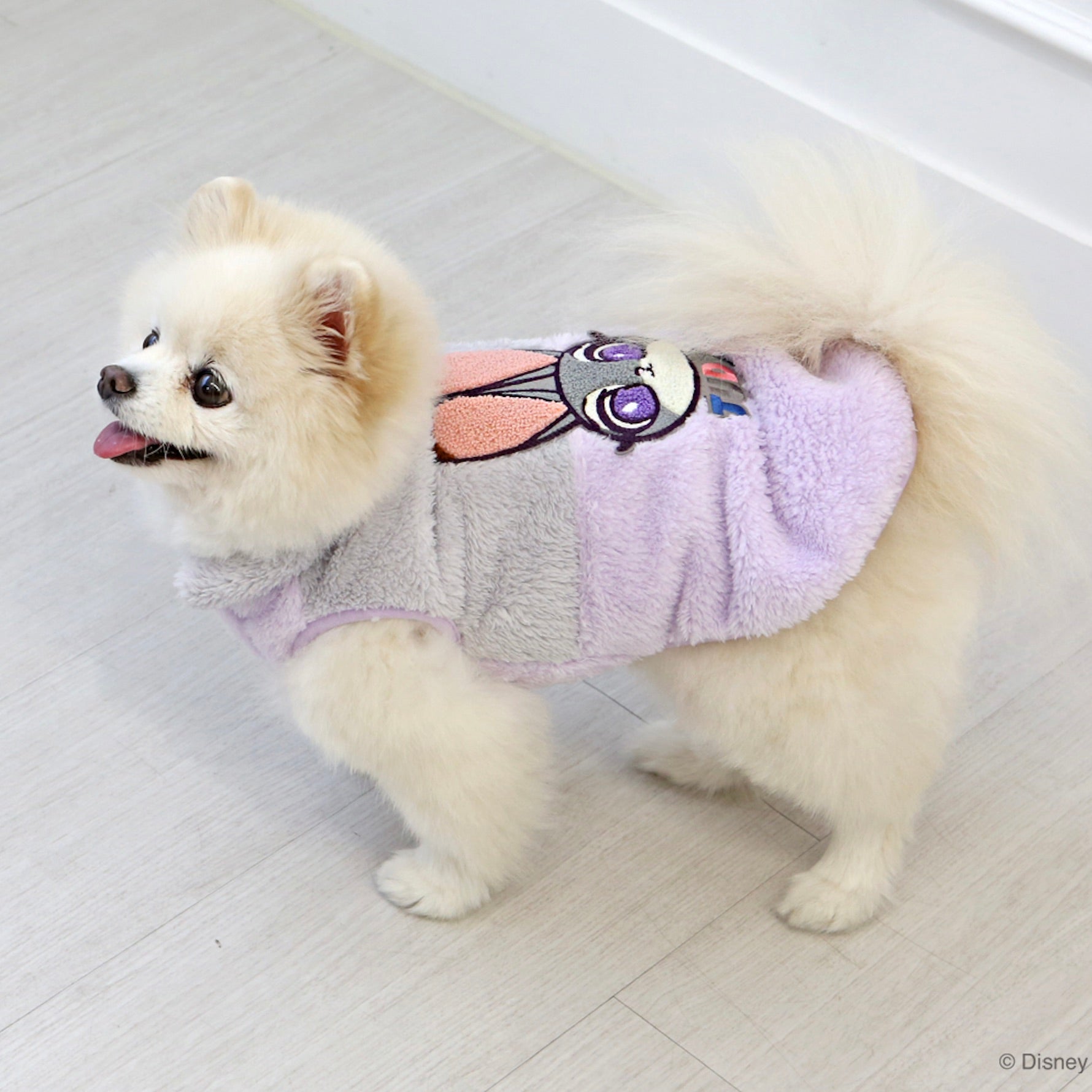 海外犬服 高品質なインポートのドッグウェア通販 