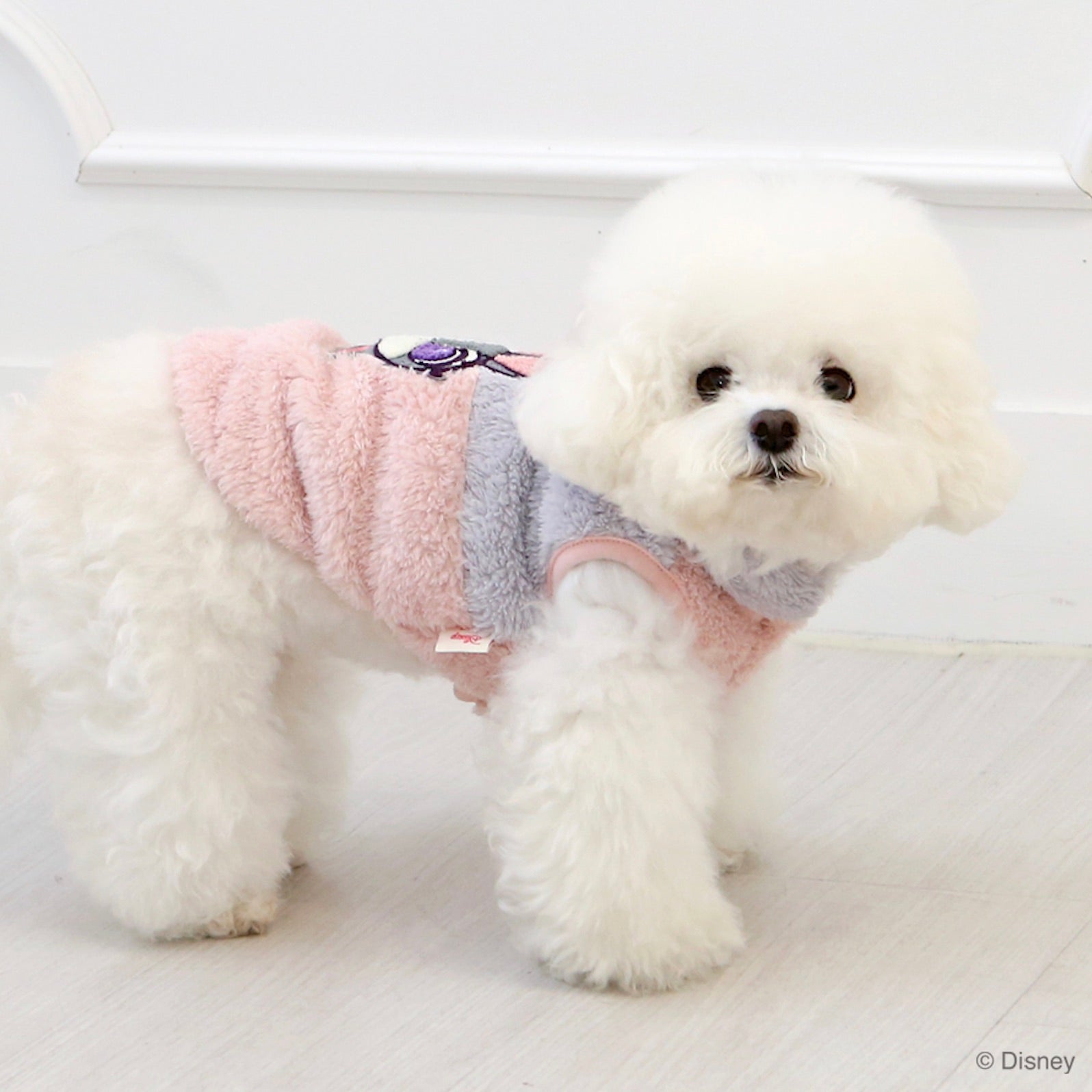 海外犬服 高品質なインポートのドッグウェア通販 