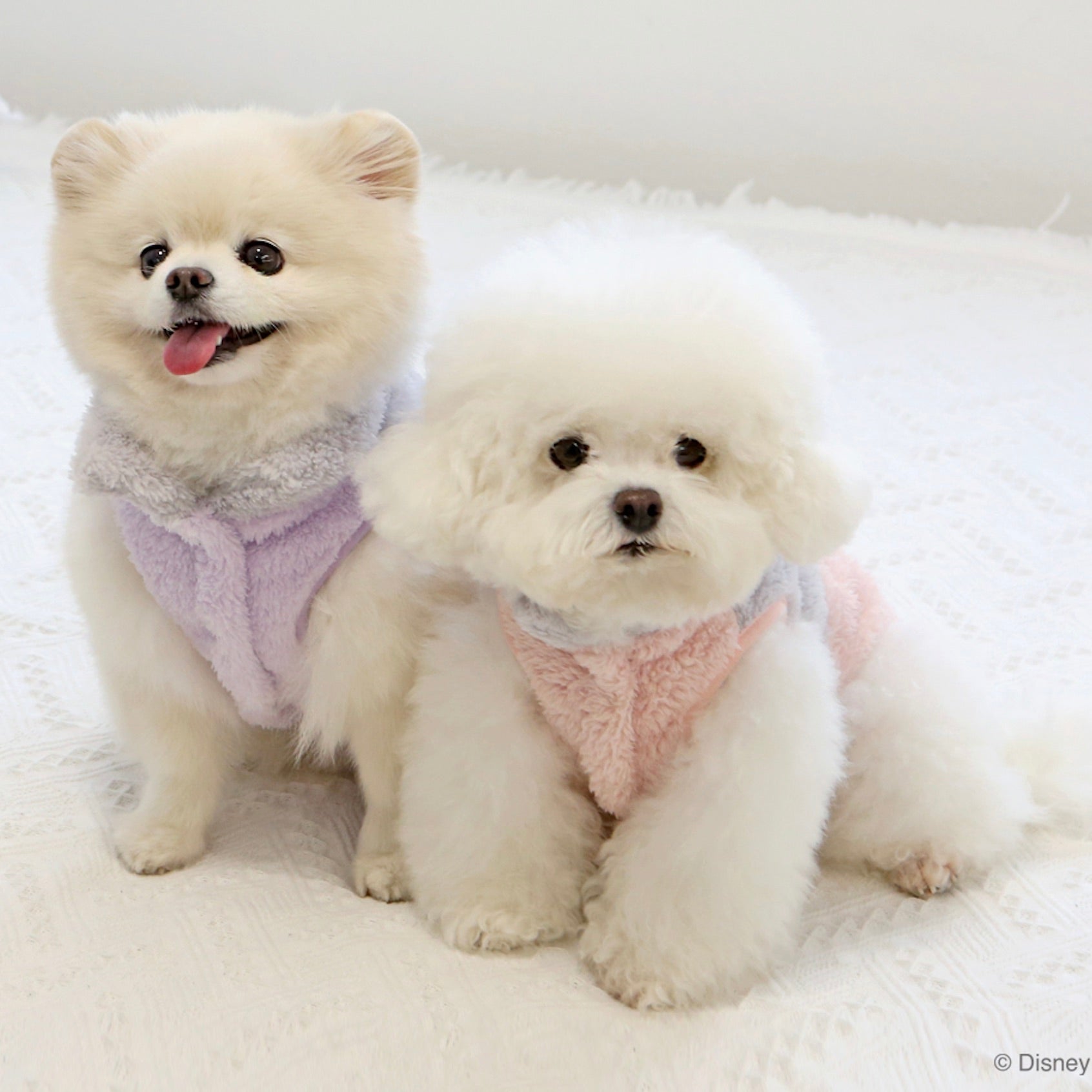 海外犬服 高品質なインポートのドッグウェア通販 