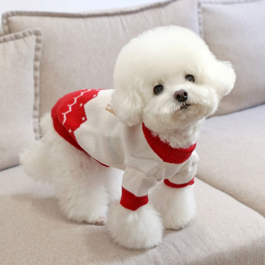 ※予約販売【ITS DOG】Red Coco Rudolph Knit（2color）