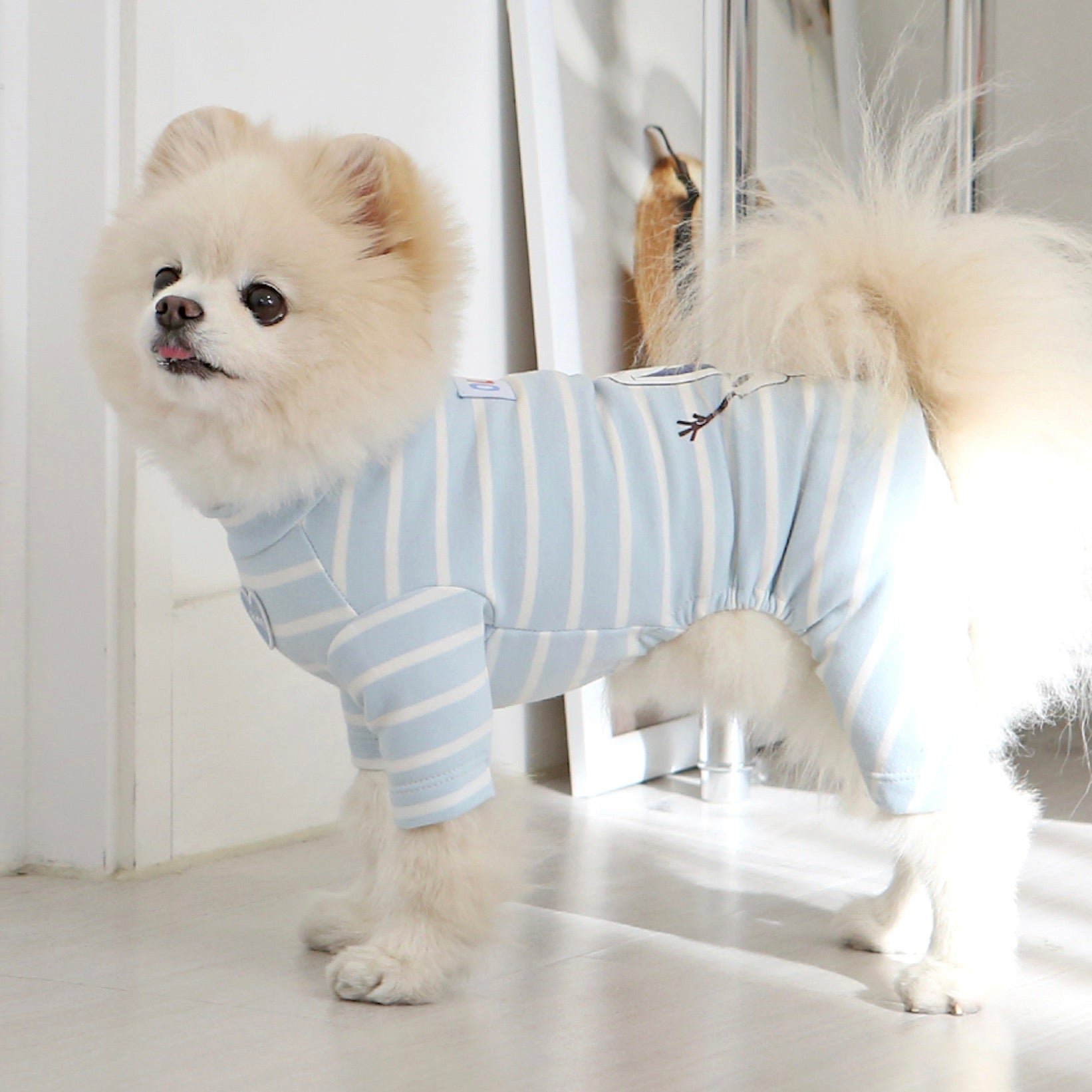 海外犬服 高品質なインポートのドッグウェア通販 