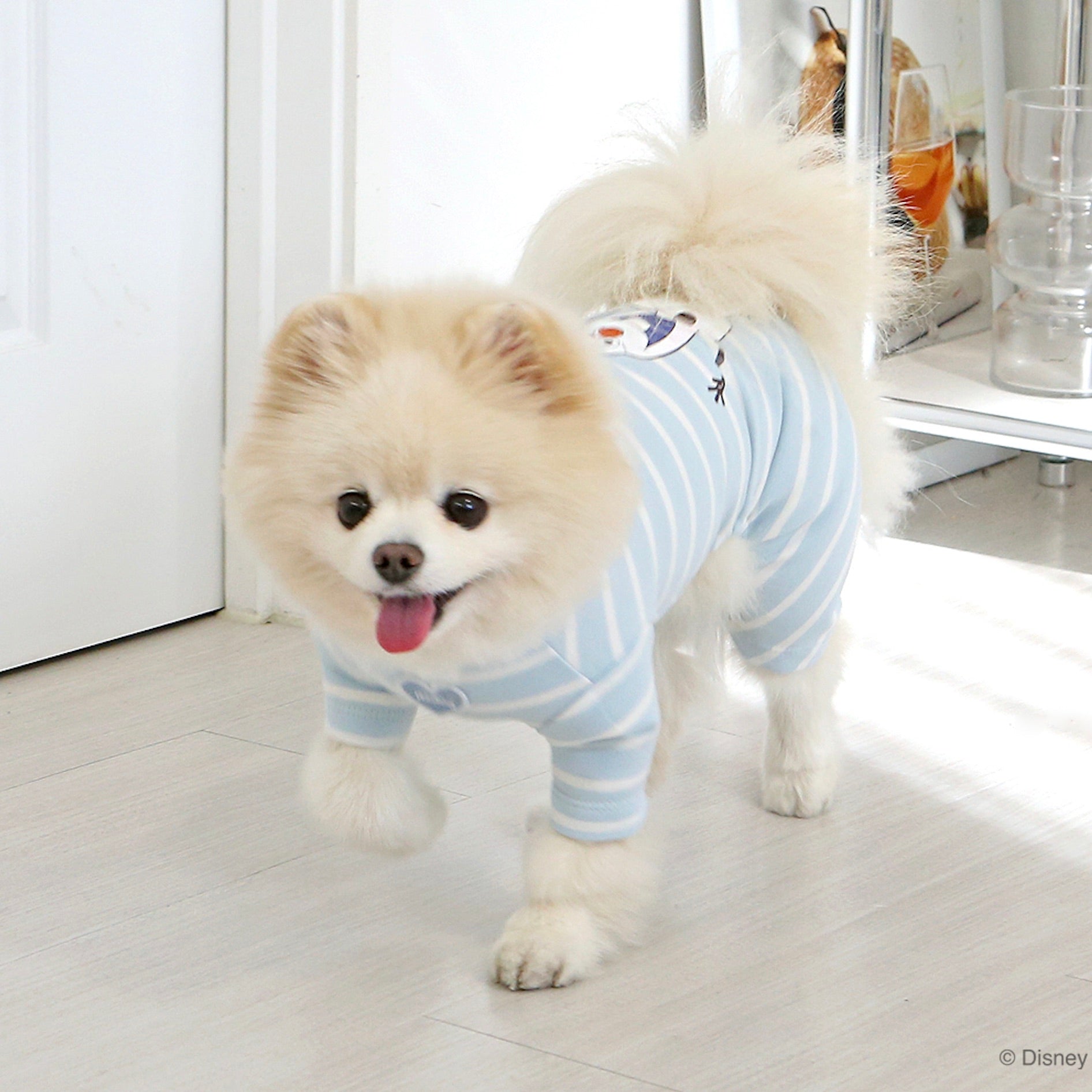 海外犬服 高品質なインポートのドッグウェア通販 