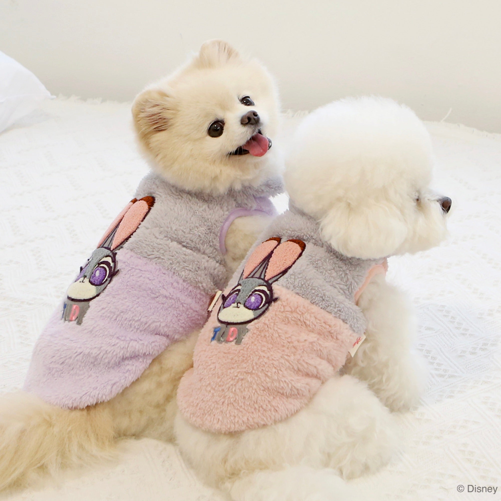 海外犬服 高品質なインポートのドッグウェア通販 