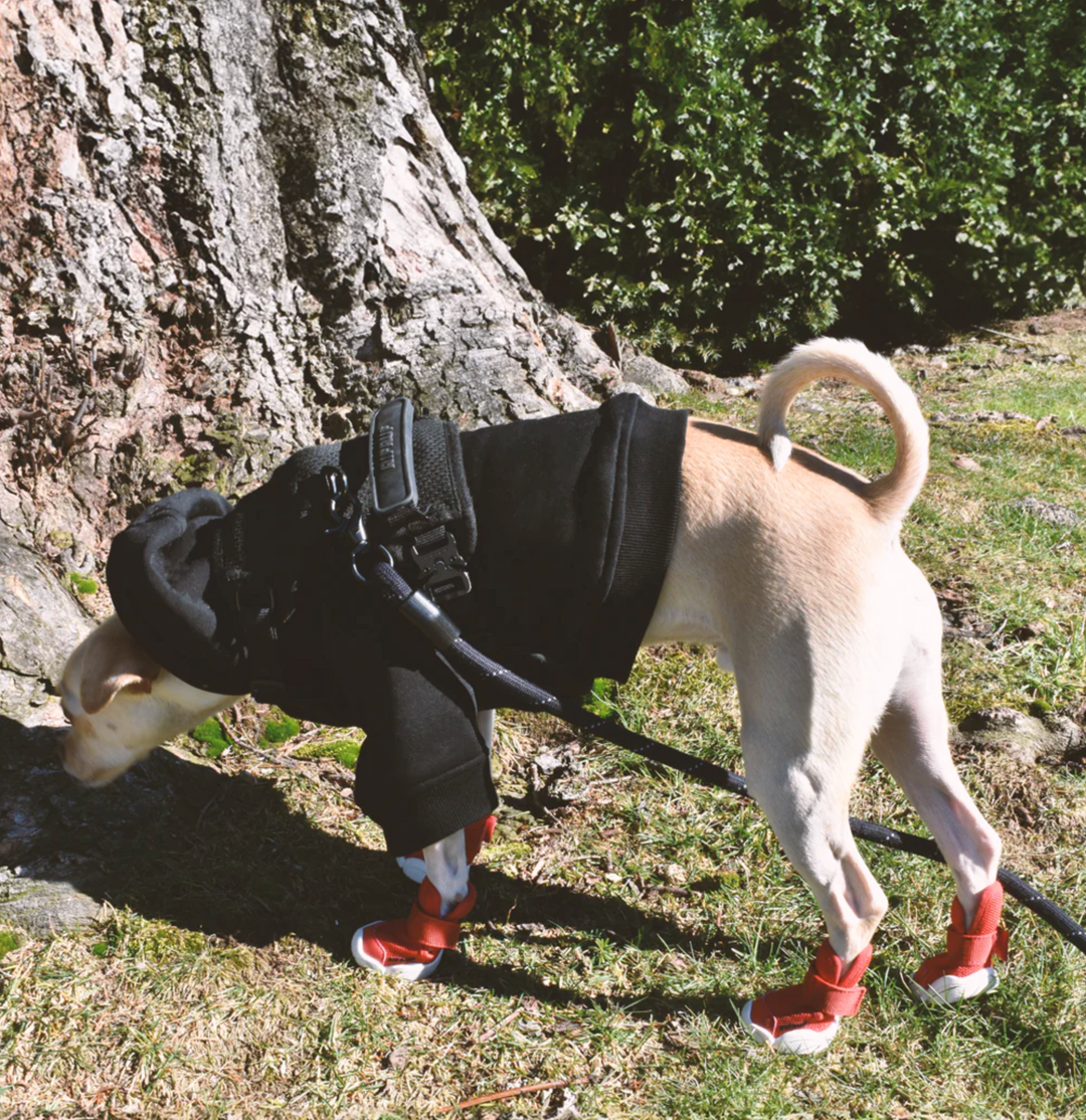 即納【RIFRUF】SNEAKERS CAESAR 1（Ember）