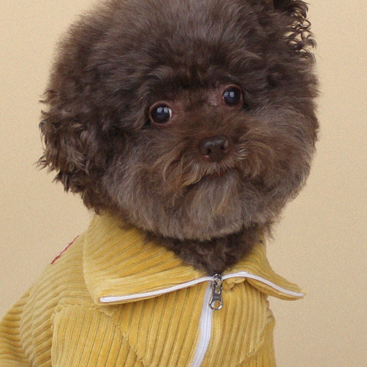 ※予約販売【CRR】Warm Velour Half Zip-up（Mustard）