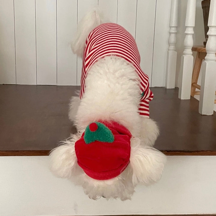 即納【FREDDIE TALE】Buddy All in one（Red）